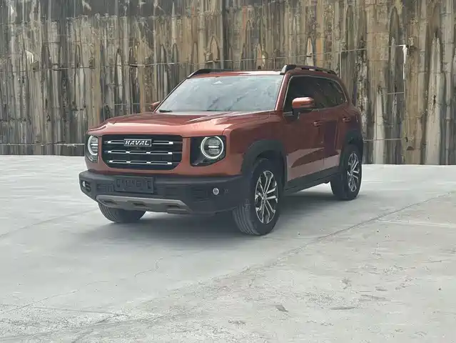 Harvard Harvard Dog Haval Big Dog 2021 1.5t Dct Two-Wheel Drive Border Collie-Wangcai Edition — фото