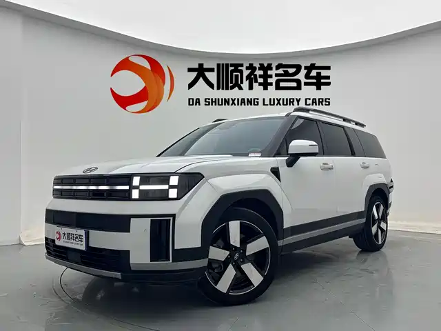 Hyundai Shengda
