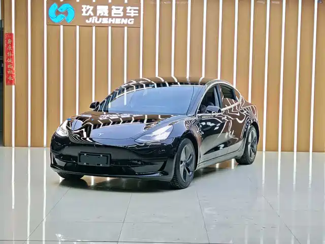 Tesla Model 3 Model 3 2020 Facelift Standard Range Rear-Wheel Drive Upgraded Version