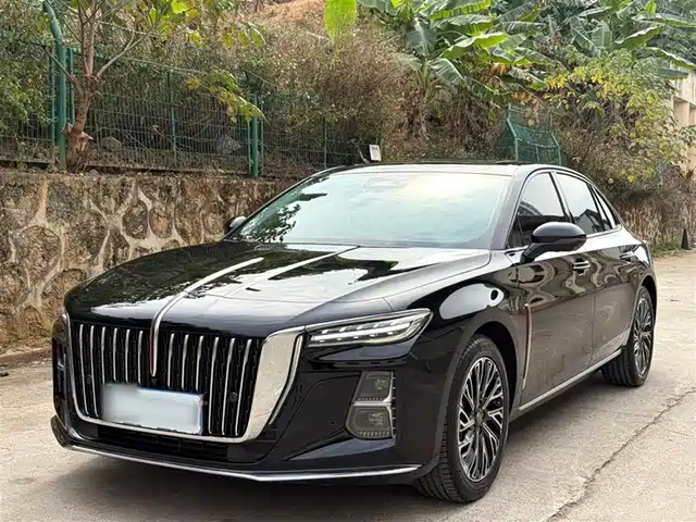 Red Flag Hongqi H5 Hongqi H5 2025 2.0t Automatic Flagship Version — фото