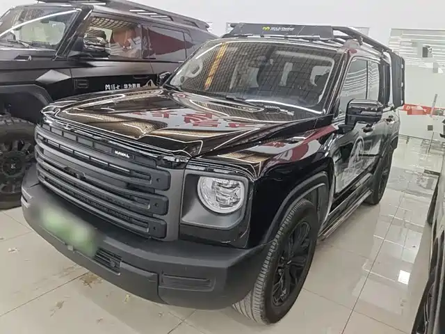 Harvard Haval Raptors New Energy Haval Raptor New Energy 2024 Hi4 145 Travel Edition — фото
