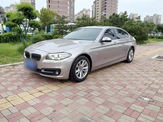 Bmw Bmw 5 Series Bmw 5 Series 2017 520li Elegant — фото