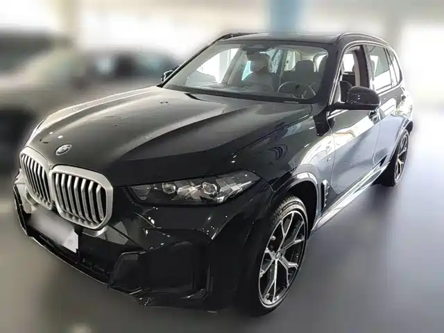 Bmw Bmw X5 Bmw X5 2023 Xdrive 30li Exclusive M Sports Night Package — фото
