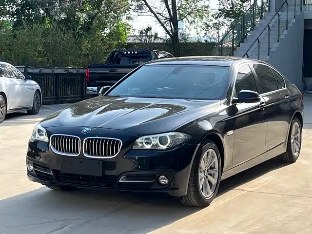 Bmw Bmw 5 Series Bmw 5 Series 2017 520li Elegant — фото