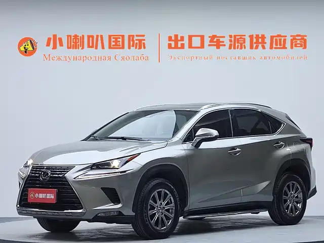 Lexus Lexus Nx Lexus Nx 2020 200 Awd Feng Shang Edition National V — фото