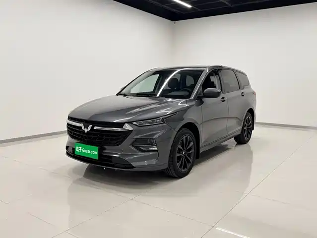 Wuling Motors Wuling Capgemini Wuling Capgemini 2020 1.5t Manual Elite