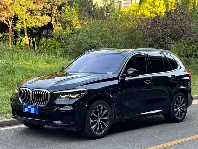 Bmw Bmw X5 (Imported) Bmw X5 Imported 2021 Xdrive30i M Sports Package