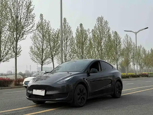 Tesla Model Y Model Y 2024 Rear-Wheel Drive Version — фото