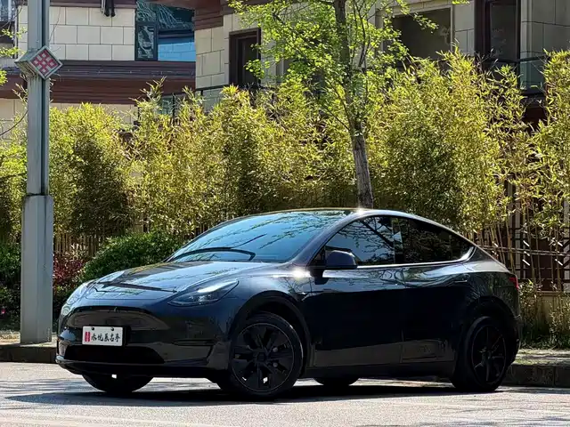 Tesla Model Y Model Y 2024 Rear-Wheel Drive Version — фото