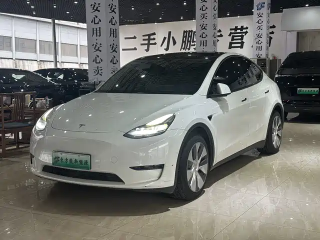 Tesla Model Y Model Y 2022 Rear-Wheel Drive Version — фото