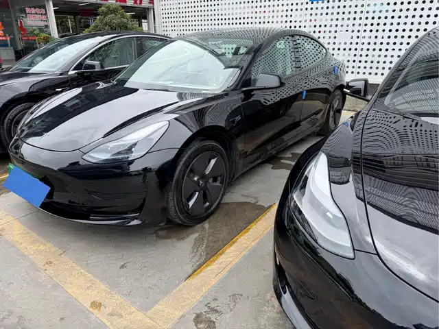 Tesla Model 3 Model 3 2022 Rear-Wheel Drive Version