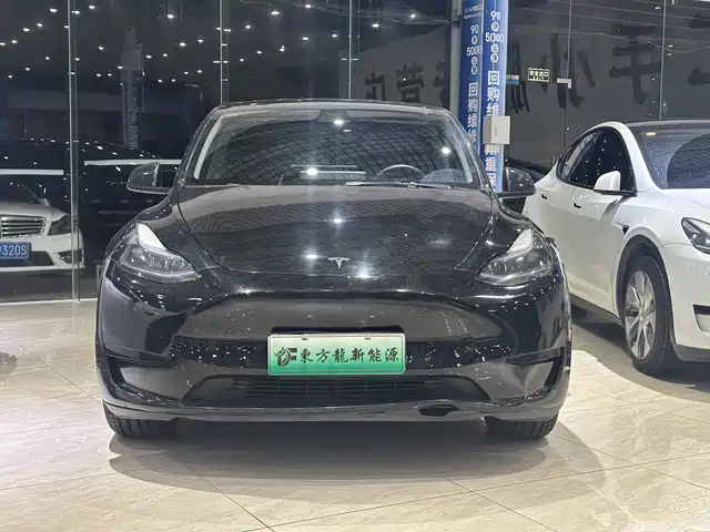 Tesla Model Y Model Y 2022 Rear-Wheel Drive Version — фото