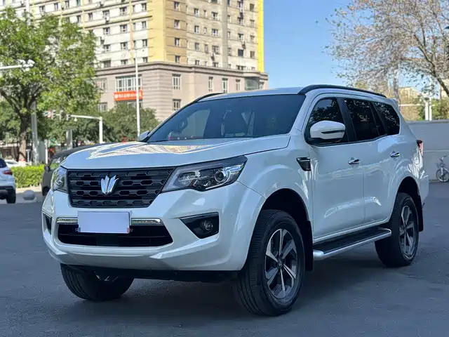 Dongfeng Style Paladin — фото