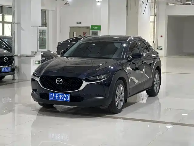 Mazda Mazda Cx-30 Mazda Cx-30 2022 2.0l Automatic Jiayue Type