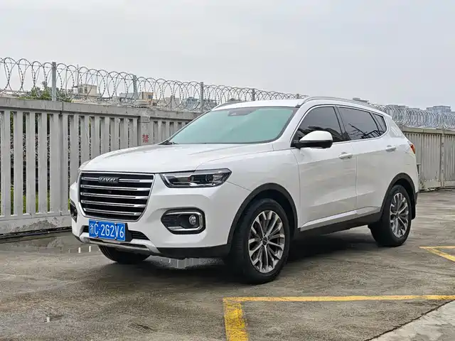 Harvard Haval H6 Haval H6 2020 1.5gdit Automatic Platinum Deluxe Edition