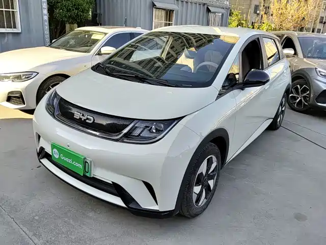 Byd Dolphin Dolphin 2024 Honor Edition 420km Free Edition — фото