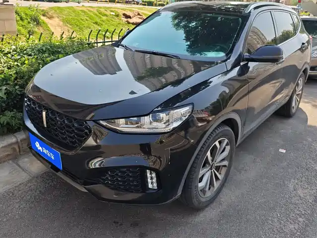 Wei Brand Wei Brand Vv6 Wei Brand Vv6 2018 2.0t Two-Wheel Drive Super Luxury Model, National V