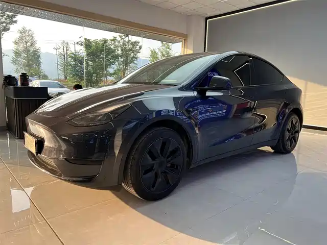 Tesla Model Y Model Y 2024 Rear-Wheel Drive Version — фото