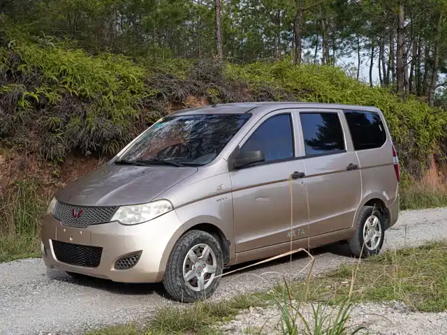 Wuling Motors Wuling Hongguang Wuling Hongguang 2013 1.5l Basic Model — фото