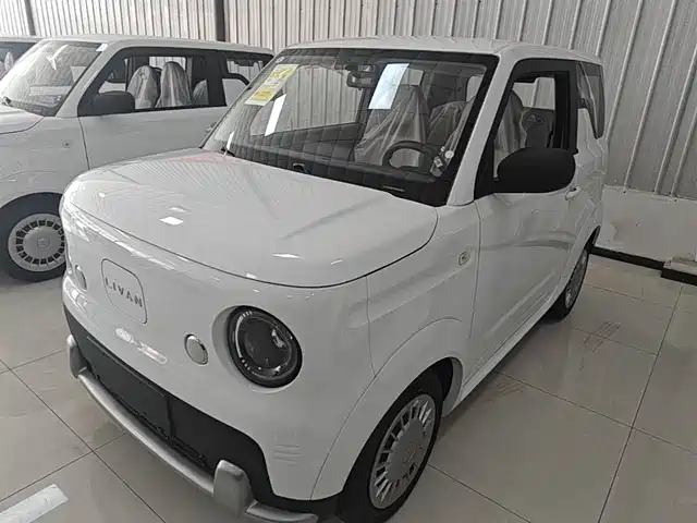 Ruilan Automobile Rui blue blue balloon Ruilan Blue Balloon 2025 Vitality Edition — фото