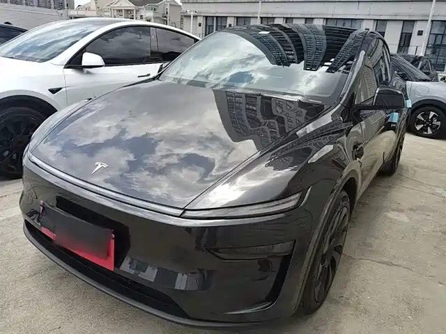 Tesla Model Y Model Y 2025 Long-Range All-Wheel Drive Version — фото