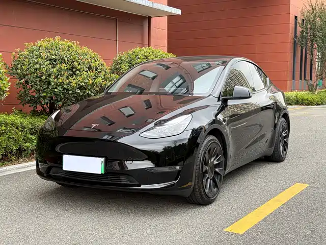 Tesla Model Y Model Y 2022 Rear-Wheel Drive Version — фото