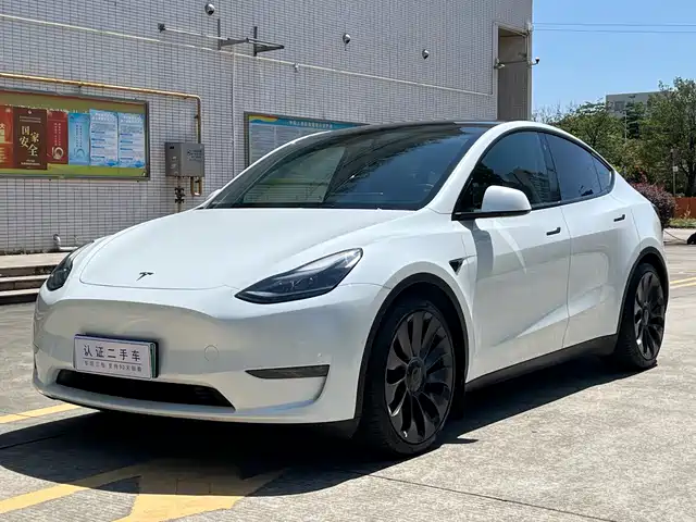 Tesla Model Y Model Y 2023 High-Performance All-Wheel Drive Version — фото