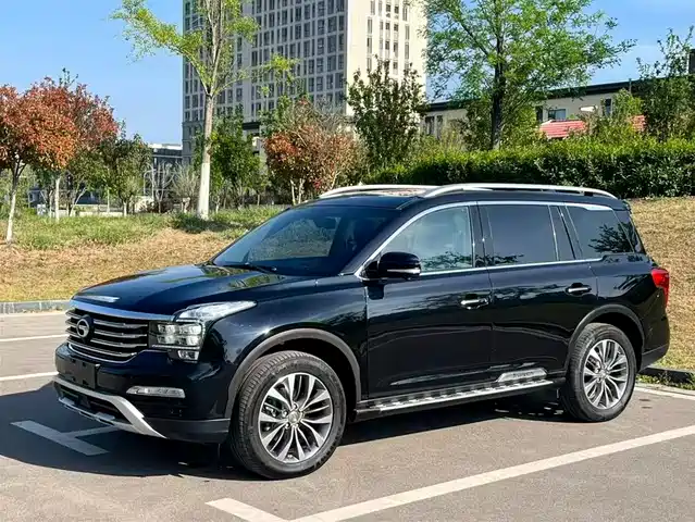 Gac Trumpchi Trumpchi Gs8 Trumpchi Gs8 2017 320t Two-Wheel Drive Luxury Version (Seven Seats) — фото