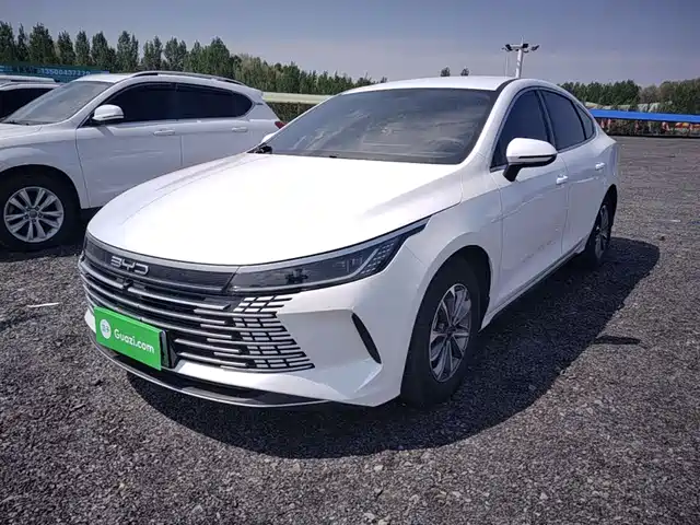 Byd Destroyer 05 Destroyer 05 2024 Honor Edition Dm-I 55km Luxury Type — фото