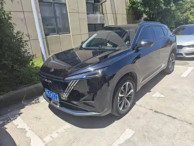 Dongfeng Fengshen Haohan Haohan 2024 Honor Edition 1.5t Luxury Model