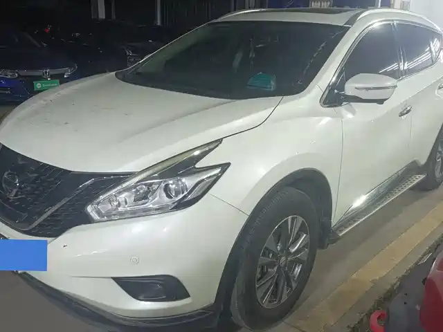 Nissan Loulan Loulan 2019 2.5l Xl 2wd Intelligent Deluxe Edition National Vi — фото