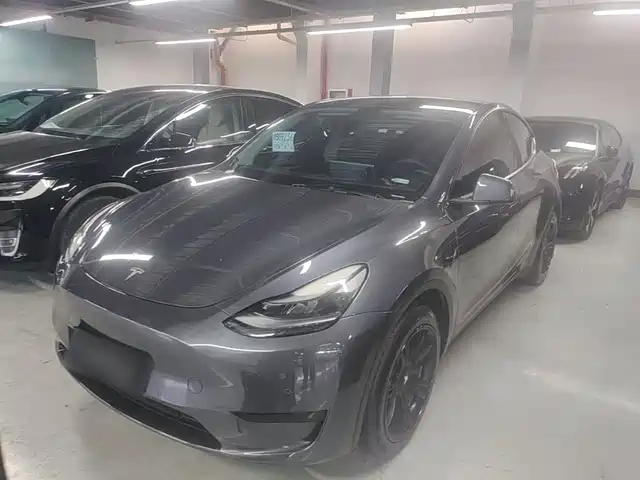 Tesla Model Y Model Y 2022 Facelift Rear-Wheel Drive Version — фото