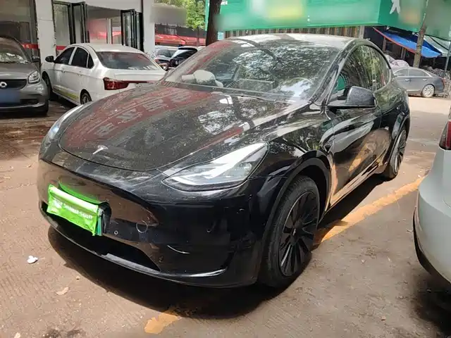 Tesla Model Y Model Y 2022 Facelift Rear-Wheel Drive Version