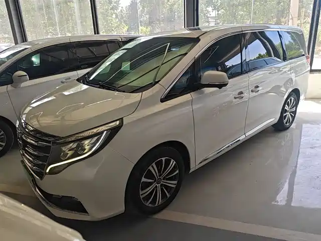 Gac Trumpchi Trumpchi M8 Trumpchi M8 2019 320t Extreme Edition — фото