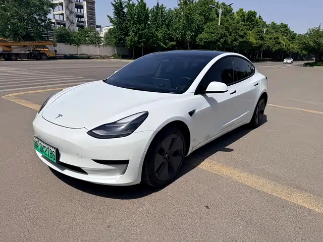 Tesla Model 3 Model 3 2022 Rear-Wheel Drive Version — фото