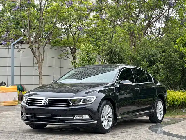 Volkswagen Magotan Magotan 2019 330tsi Dsg Leading Model National Vi — фото