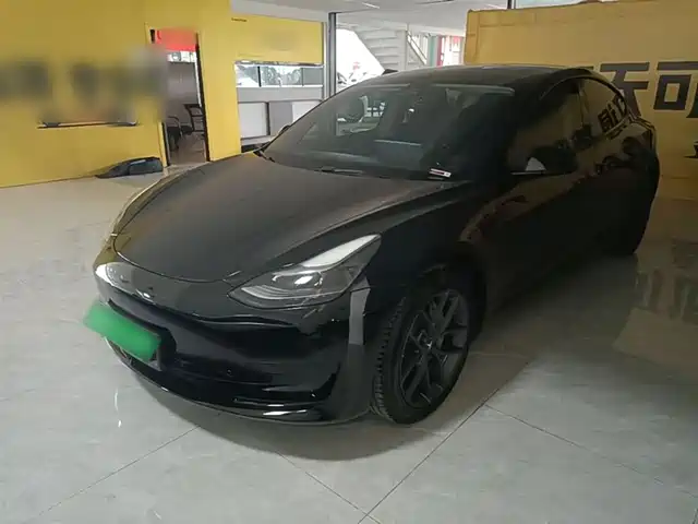 Tesla Model 3 Model 3 2021 Standard Range Rear Drive Upgraded Version 3d6 — фото
