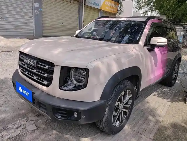 Harvard Harvard Dog Haval Big Dog 2021 1.5t Dct Two-Wheel Drive Border Collie Version