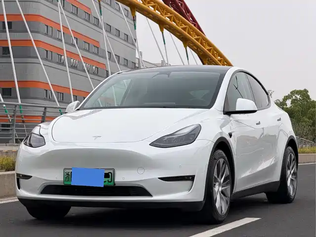 Tesla Model Y Model Y 2021 Standard Range Rear-Wheel Drive Version