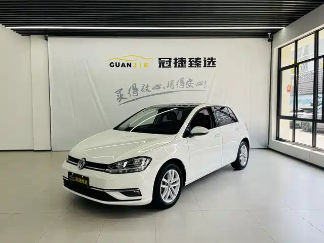 Volkswagen Golf Golf 2018 1.6l Automatic Comfort Type — фото