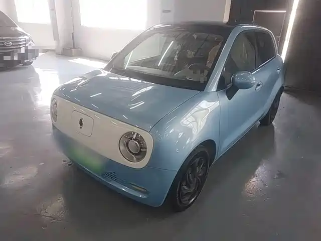 Euler Euler Black Cat Euler Black Cat 2021 301km Basic Model
