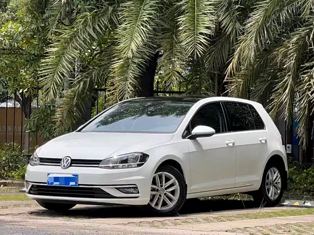 Volkswagen Golf Golf 2019 280tsi Dsg Comfort Model National Vi — фото