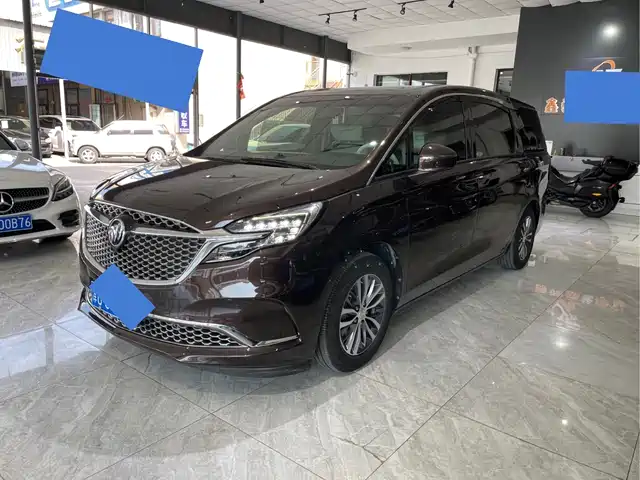 Buick Buick Gl8 Buick Gl8 2021 Es Lu Zun 653t Comfort Type — фото