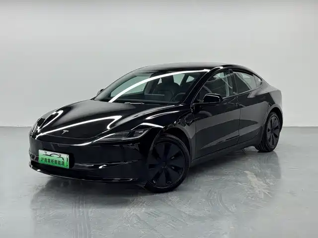 Tesla Model 3 Model 3 2023 Rear-Wheel Drive Version