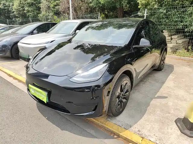 Tesla Model Y Model Y 2022 Facelift Rear-Wheel Drive Version — фото