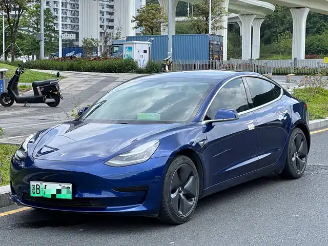 Tesla Model 3 Model 3 2020 Standard Range Rear Drive Upgraded Version — фото