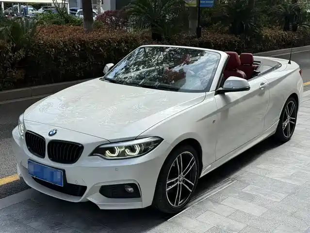 Bmw Bmw 2 Series (Imported) Bmw 2 Series Imported 2019 225i Sports Design Package — фото