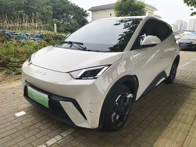 Byd Seagull Seagull 2024 Honor Edition 405km Flying Edition — фото