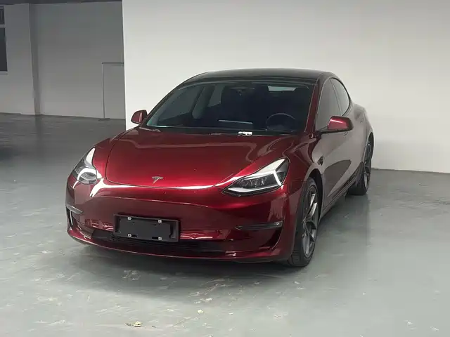 Tesla Model 3 Model 3 2022 Performance High-Performance All-Wheel Drive Version — фото