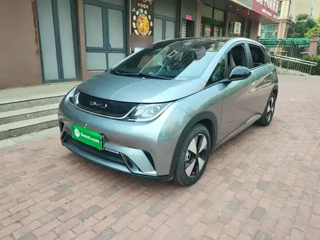 Byd Dolphin Dolphin 2024 Honor Edition 420km Fashion Edition — фото